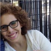 Insegno storia per passione